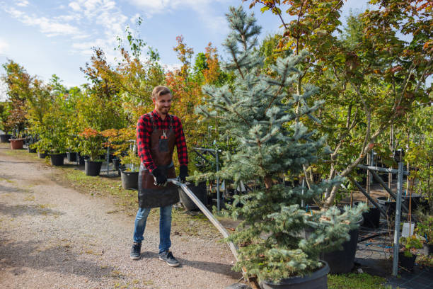 Best Aeration Services  in Cochran, GA